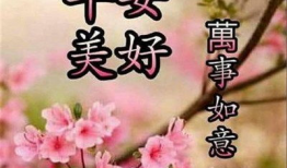 早上好视频图片加音乐,音乐唤醒美好早晨