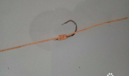 手工绑鱼钩视频,一招掌握钓鱼技巧